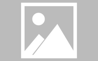 阿拉善盟新区景区网站建设（in art criticism,you must assume）